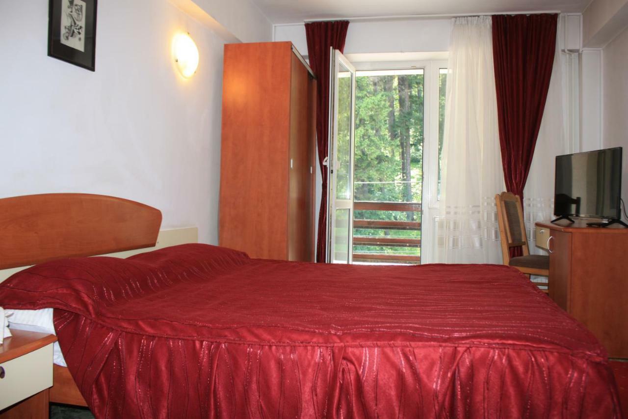 Vila Mihail Hotel Buşteni Eksteriør billede